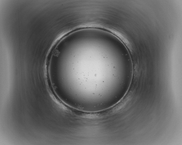 X0000113090998200908281240