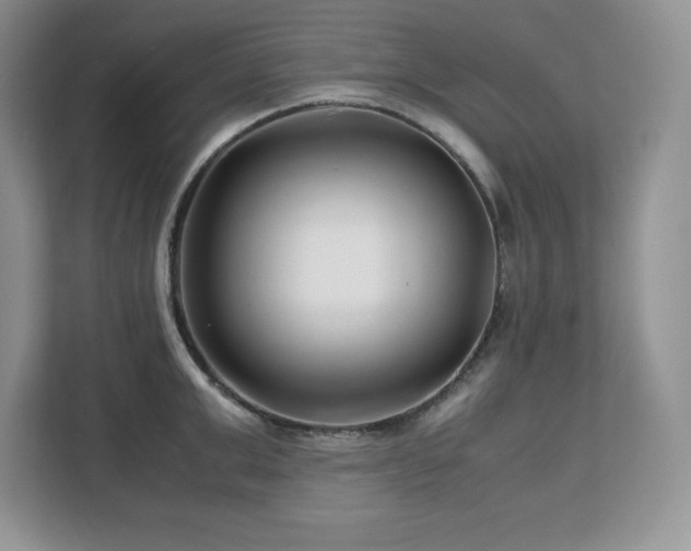 X0000113090999200908281240