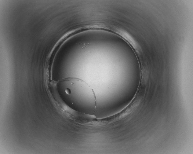 X0000113091000200908281240