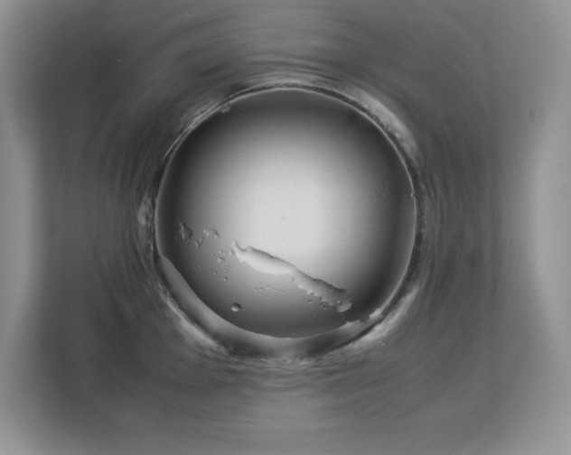 X0000113091001200908281240