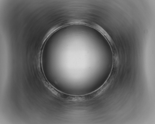 X0000113091002200908281240