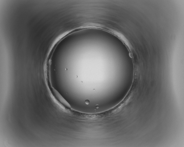 X0000113091003200908281239