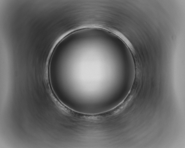 X0000113091004200908281239