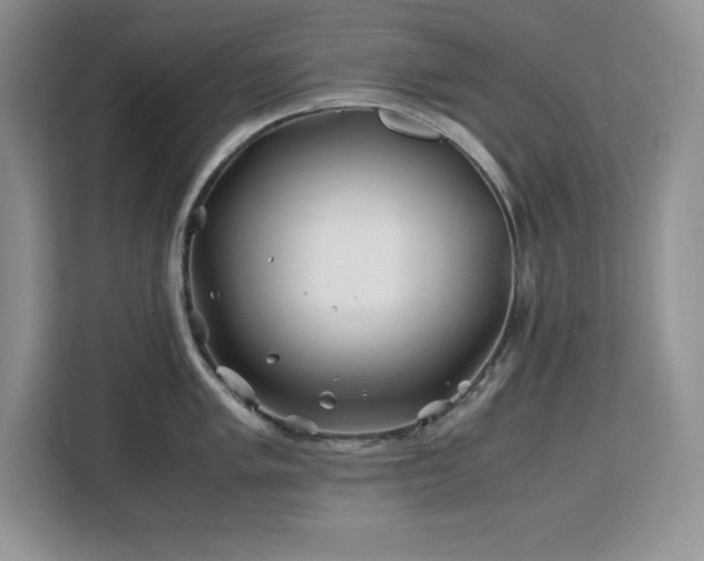 X0000113091005200908281239