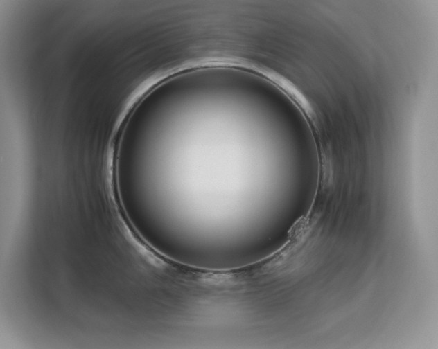 X0000113091006200908281239