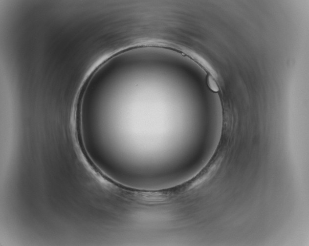 X0000113091007200908281239
