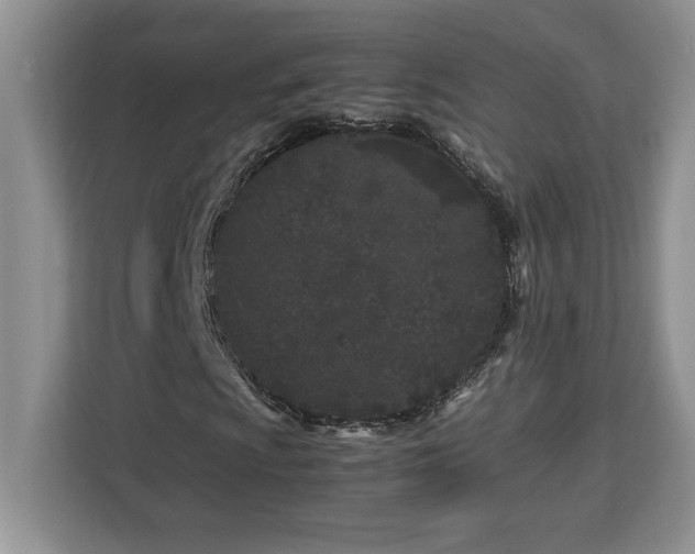 X0000113091009200908281239