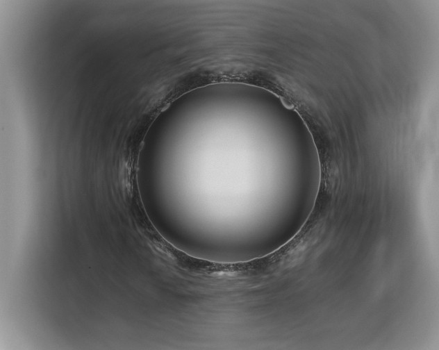 X0000113091010200908281239