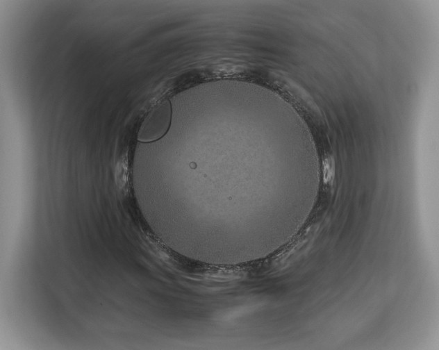 X0000113091011200908281239