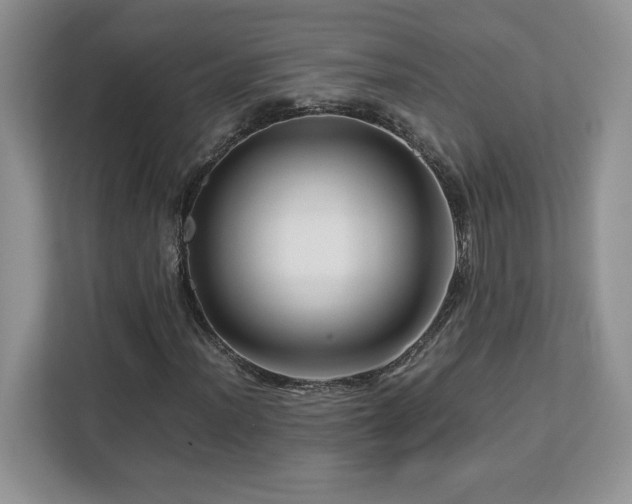 X0000113091012200908281239