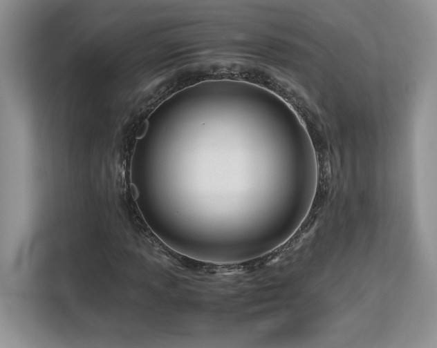X0000113091013200908281239