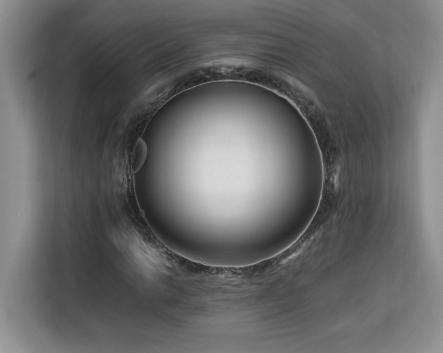 X0000113091014200908281239