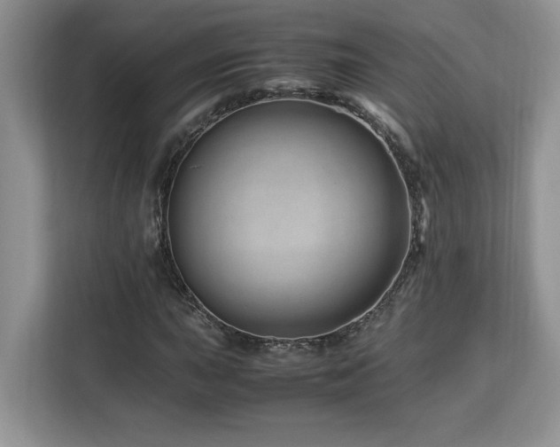 X0000113091015200908281239