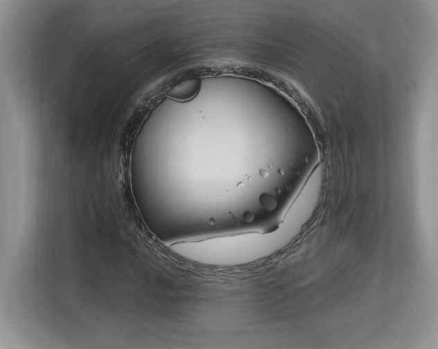 X0000113091016200908281239