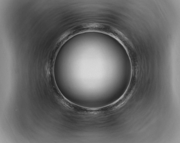 X0000113091017200908281239