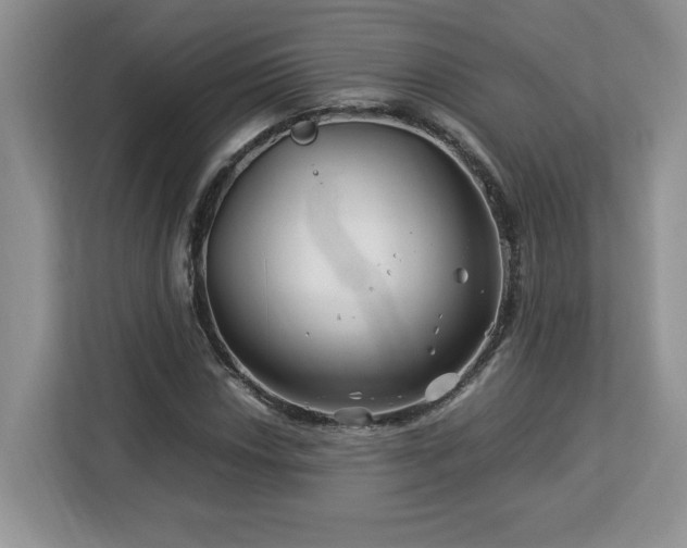 X0000113091018200908281239