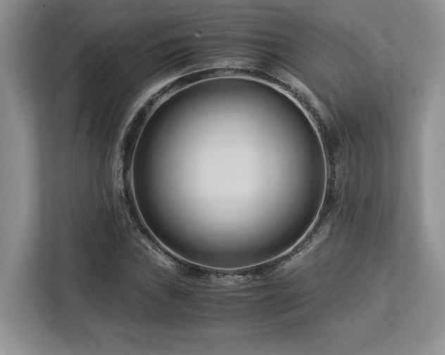 X0000113091019200908281239