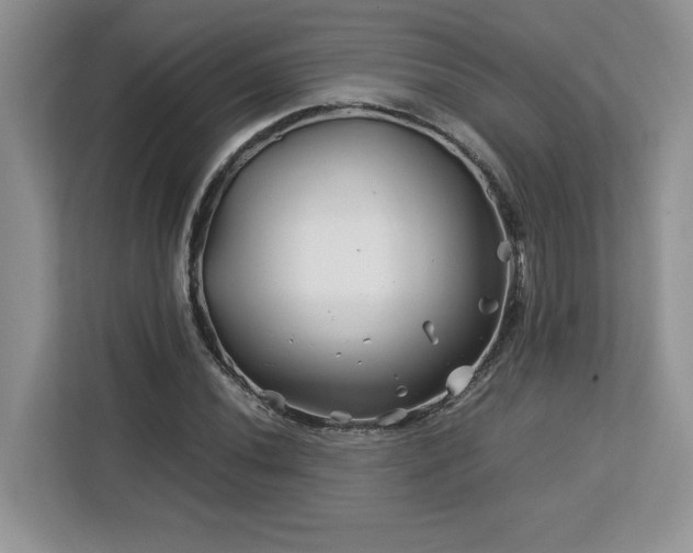 X0000113091020200908281239