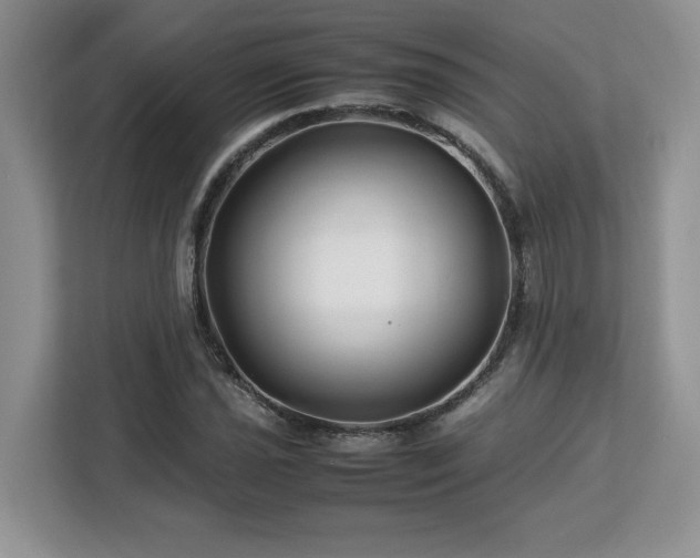 X0000113091021200908281239