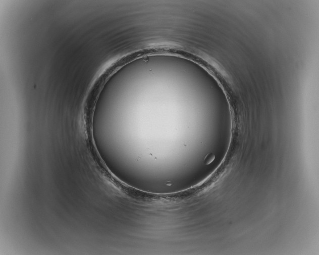 X0000113091022200908281239