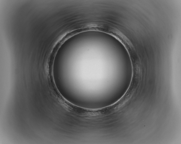 X0000113091023200908281239