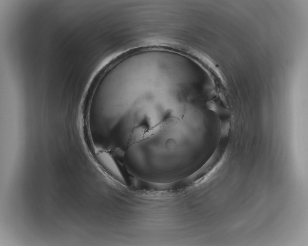 X0000113091024200908281239