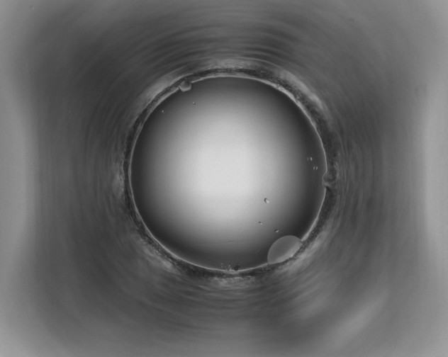 X0000113091025200908281239