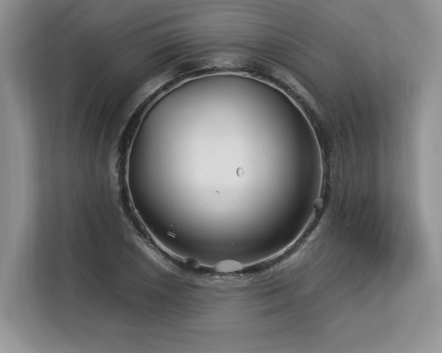 X0000113091026200908281239