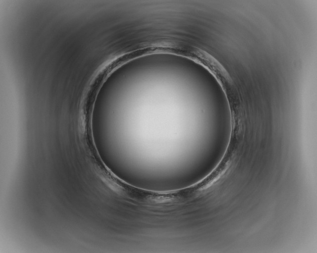 X0000113091027200908281239