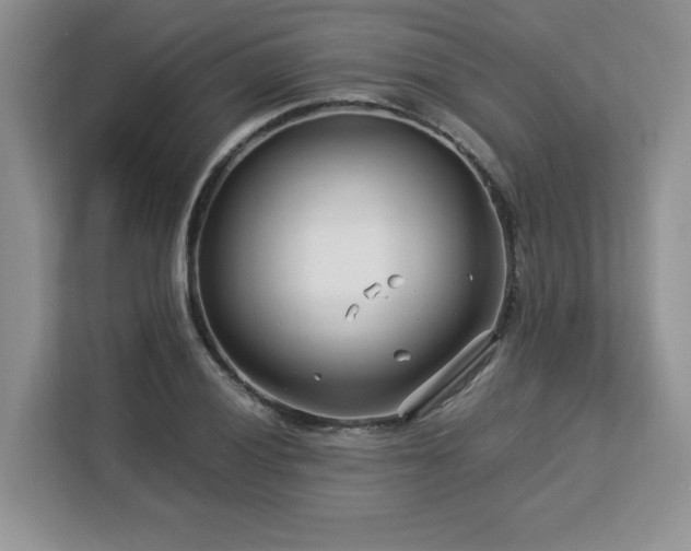 X0000113091028200908281239