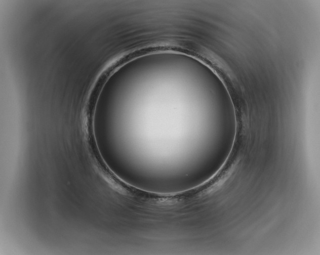 X0000113091029200908281239