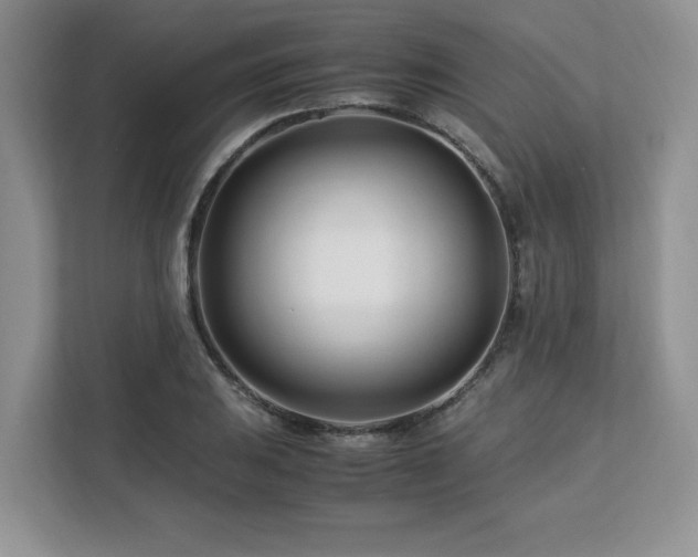 X0000113091031200908281239
