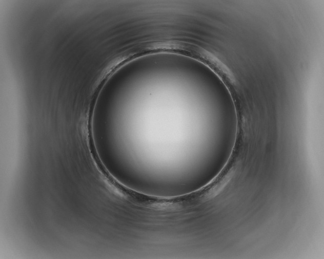 X0000113091033200908281239