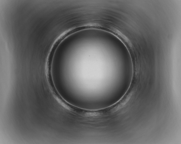 X0000113091037200908281239