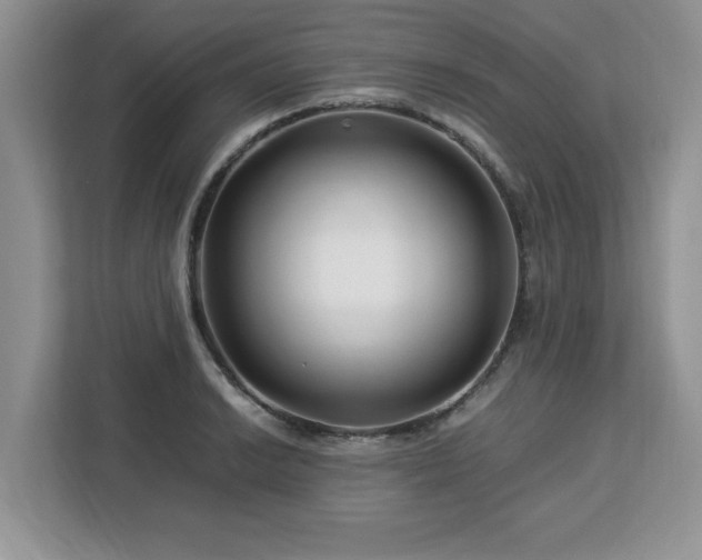 X0000113091038200908281239