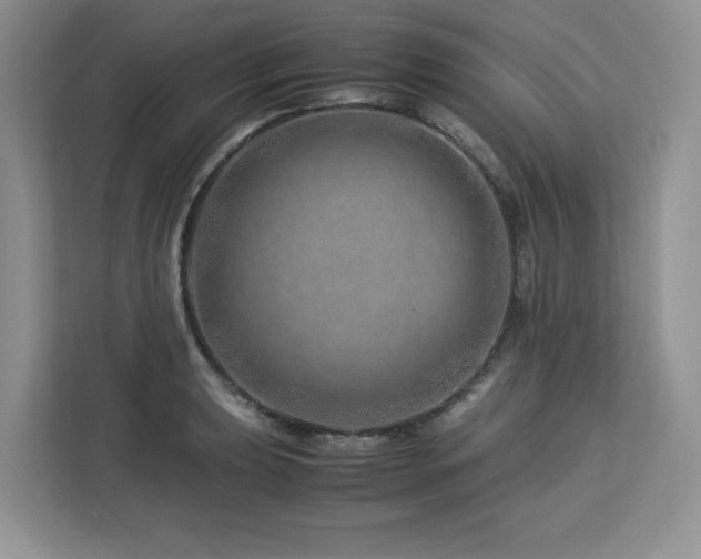 X0000113091039200908281239