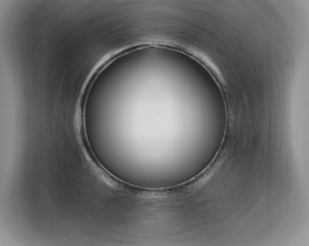 X0000113091040200908281239