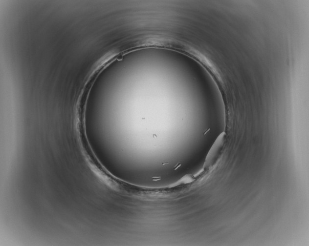 X0000113091042200908281239