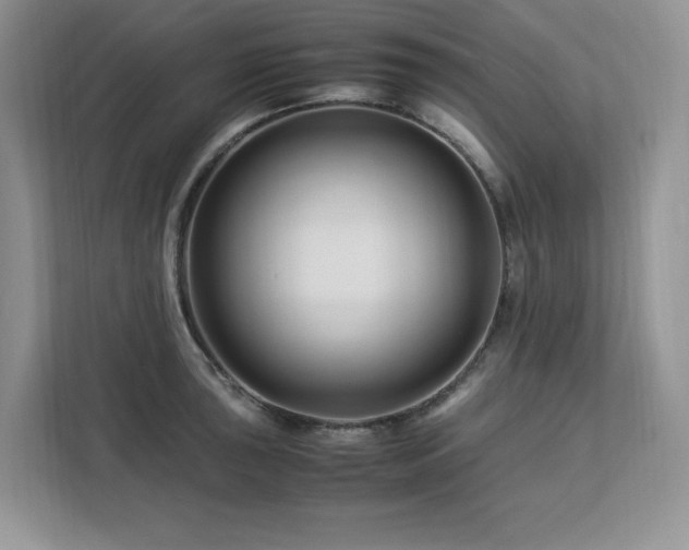 X0000113091043200908281239