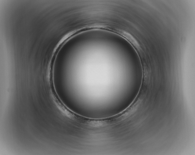 X0000113091044200908281239