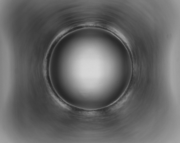 X0000113091045200908281239