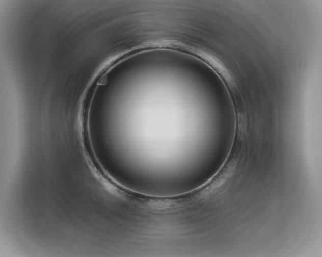 X0000113091046200908281239