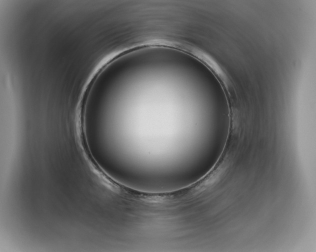 X0000113091048200908281239