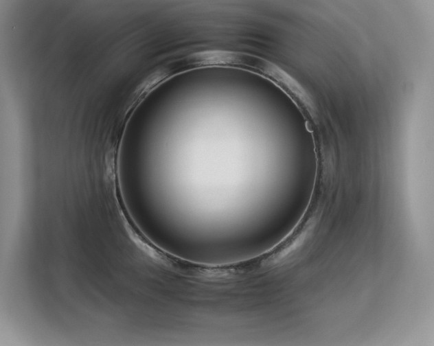 X0000113091049200908281239