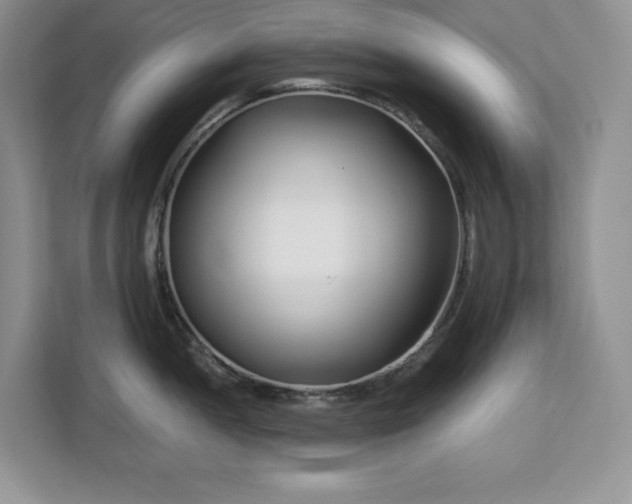 X0000113091052200908281239