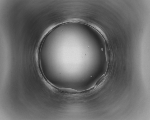 X0000113091054200908281239