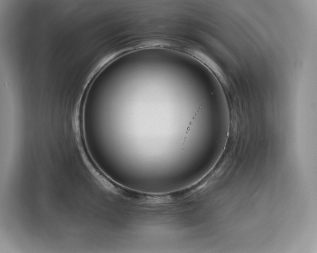 X0000113091055200908281239