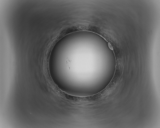 X0000113091057200908281239