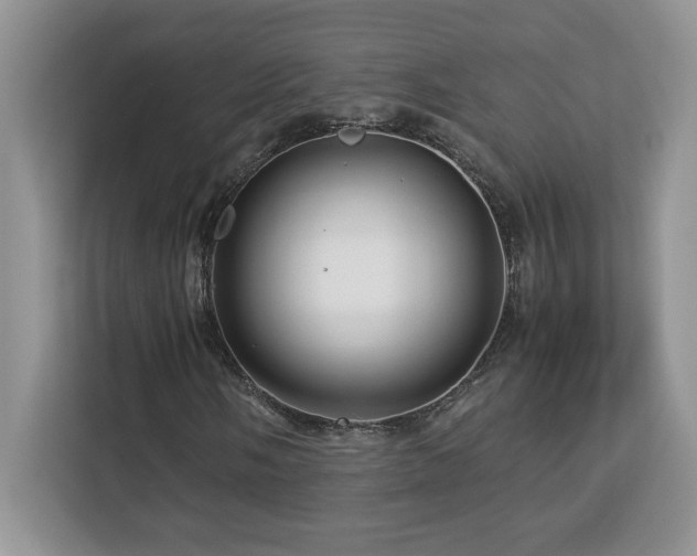 X0000113091058200908281239