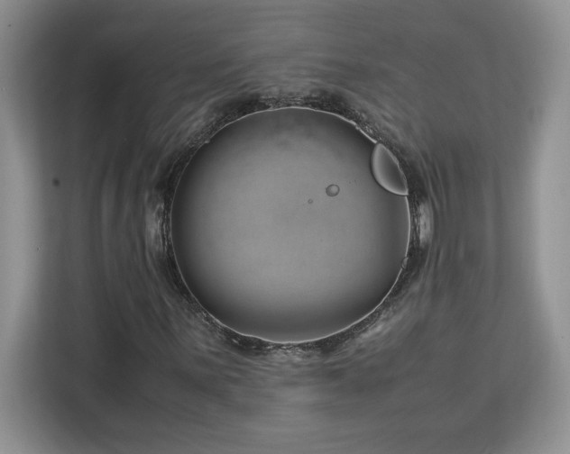 X0000113091059200908281239